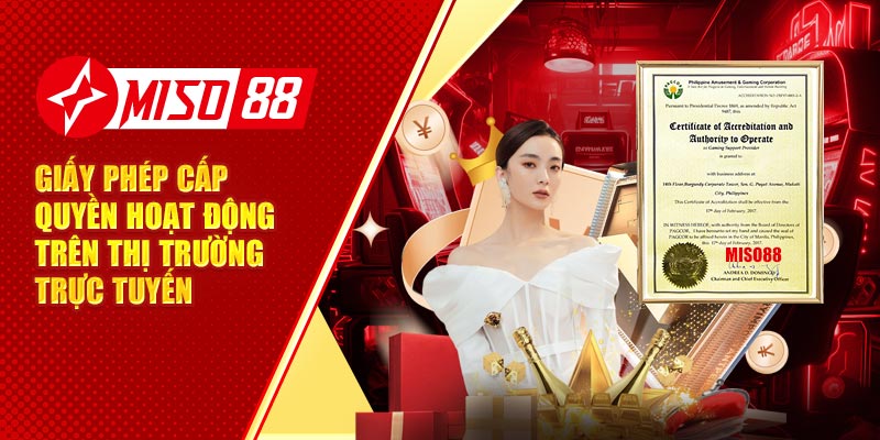 Giấy phép cấp quyền hoạt động trên thị trường trực tuyến