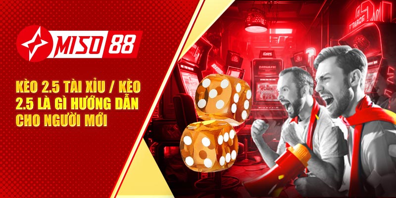 Kèo 2.5 Tài Xỉu / Kèo 2.5 Là Gì Hướng Dẫn Cho Người Mới