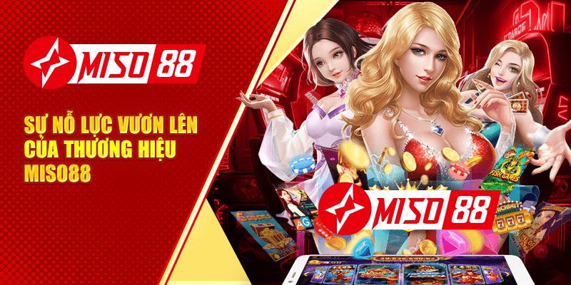 Sự nỗ lực vươn lên của thương hiệu Miso88